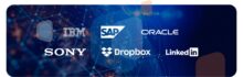 Our technology and software clients include IBM, Oracle, SAP, Sony, Dropbox and LinkedIn